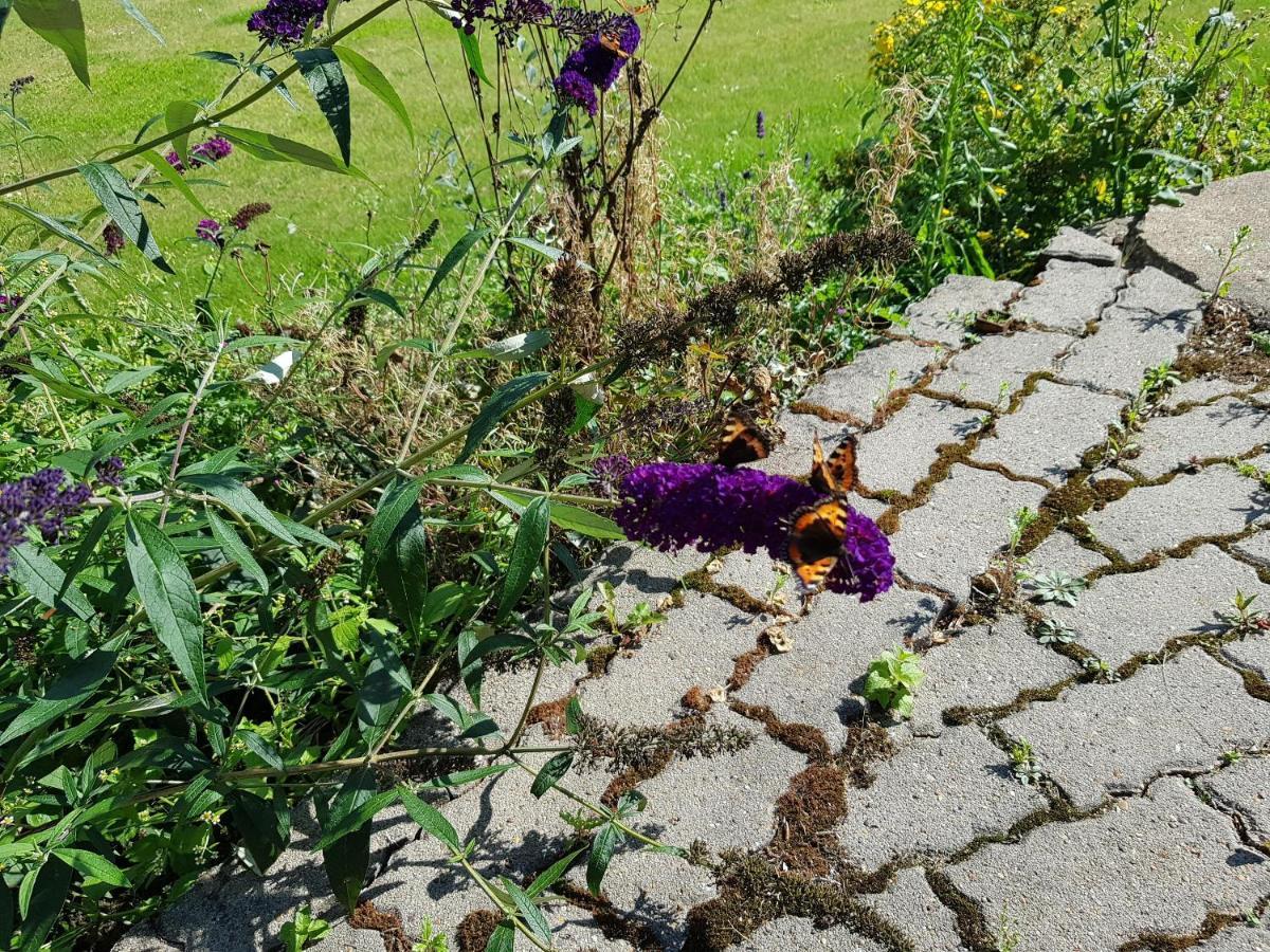 Nocleg ze śniadaniem Kyndestoft